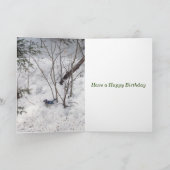 Blue Jay Birthday Karte (Innenseite)