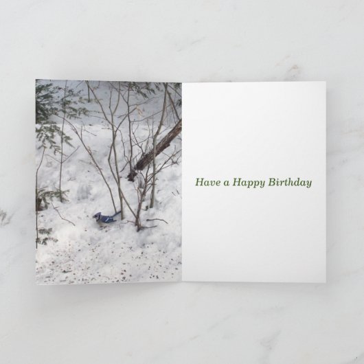 Blue Jay Birthday Karte (Innenseite)