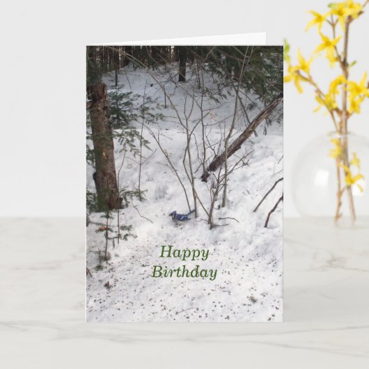 Blue Jay Birthday Karte (Gelbe Blume)