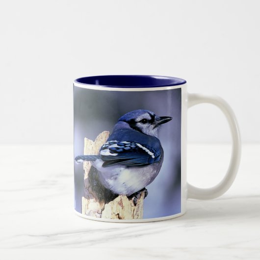 Blue Jay, Blue Jay Zweifarbige Tasse (Rechts)