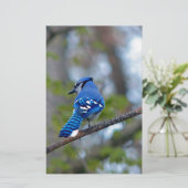 Blue Jay Briefpapier (Stehend Vorderseite)