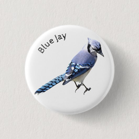 Blue Jay Button (Vorderseite)