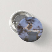 Blue Jay Button (Vorne & Hinten)