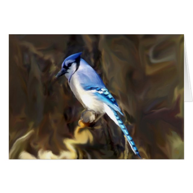 Blue Jay Cards (Vorderseite (Horizontal))