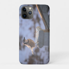 Blue Jay Case-Mate iPhone Hülle