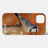 Blue Jay Case-Mate iPhone Hülle (Rückseite (Horizontal))