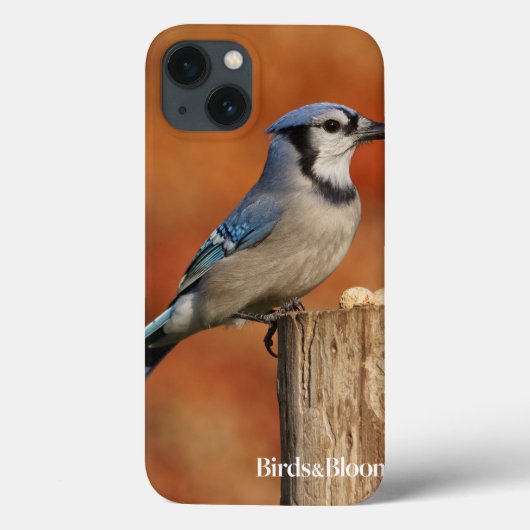 Blue Jay Case-Mate iPhone Hülle (Rückseite)