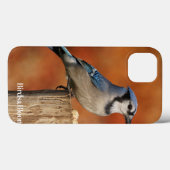 Blue Jay Case-Mate iPhone Hülle (Rückseite (Horizontal))