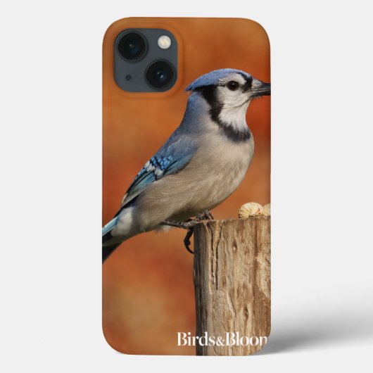 Blue Jay Case-Mate iPhone Hülle (Rückseite)