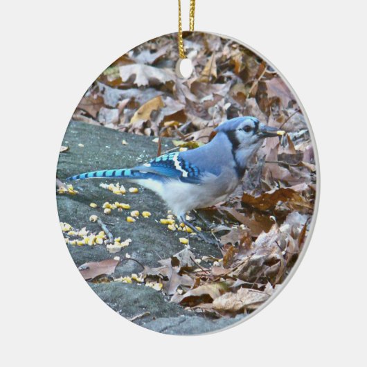 Blue Jay Christmas Ornament (Links)
