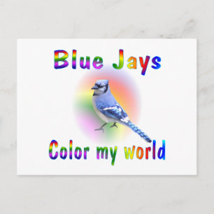 Blue Jay Color My World Postkarte
