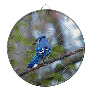 Blue Jay Dartscheibe
