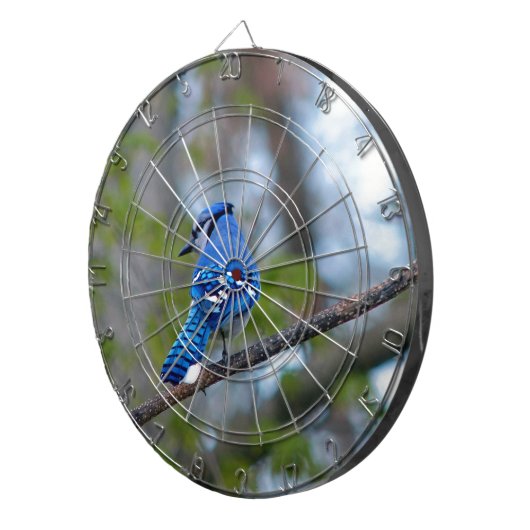 Blue Jay Dartscheibe (Vorderseite rechts)