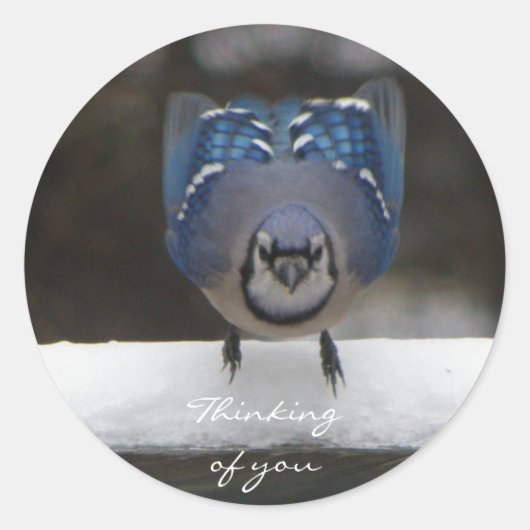 Blue Jay: Denken Sie an Ihren Aufkleber (Vorderseite)