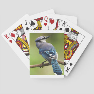 Blue Jay denkt an deine Freundin Mama Papa Spielkarten
