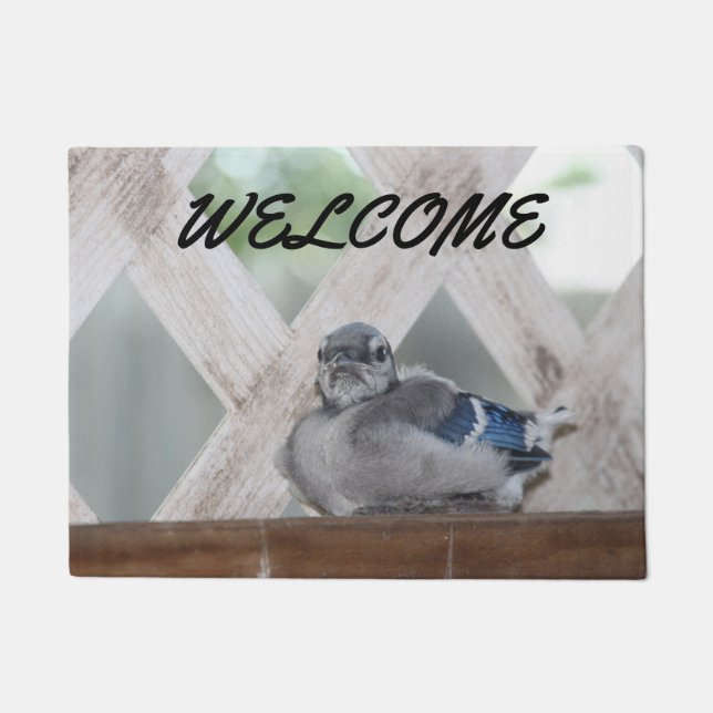 Blue Jay Doormat Fußmatte (Vorderseite)