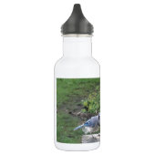Blue Jay Edelstahlflasche (Links)