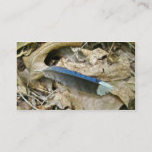 Blue Jay Feather Coordinated Items Business Card Visitenkarte (Rückseite)