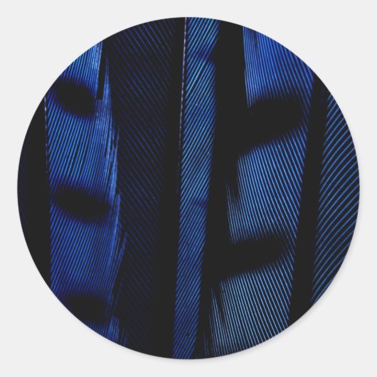 Blue Jay Feathers Runder Aufkleber (Vorderseite)