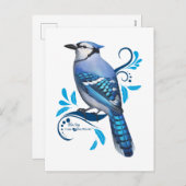 Blue Jay Feiertagspostkarte (Vorne/Hinten)