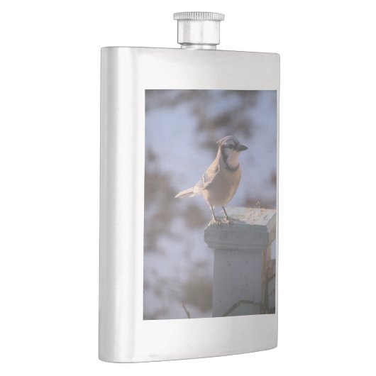 Blue Jay Flachmann (Rechts)