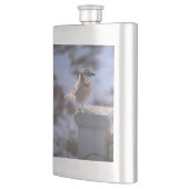 Blue Jay Flachmann (Links)