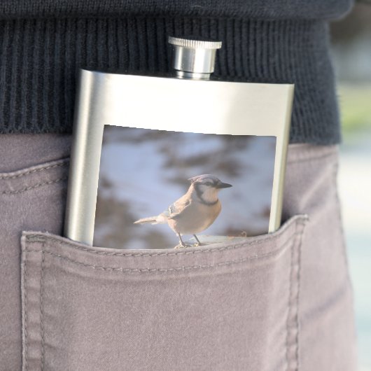 Blue Jay Flachmann (Beispiel)