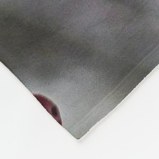 Blue Jay Fleecedecke (Ecke)