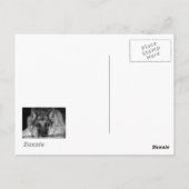 Blue Jay Foto Postkarte (Rückseite)