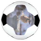 Blue Jay Fußball (Gedreht)