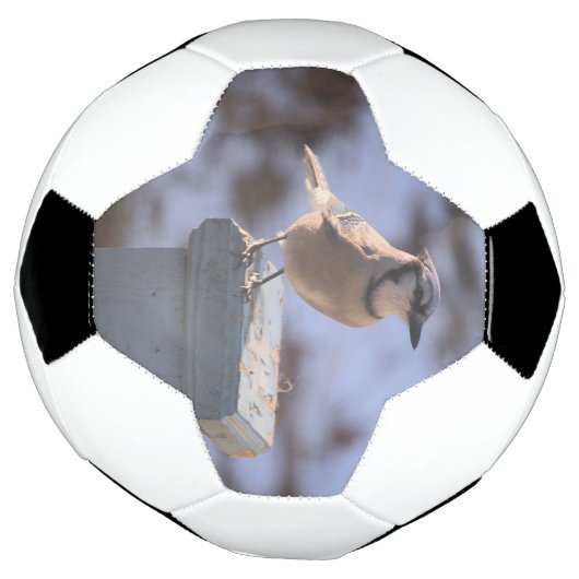 Blue Jay Fußball (Gedreht)