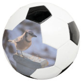 Blue Jay Fußball (Dreiviertel)