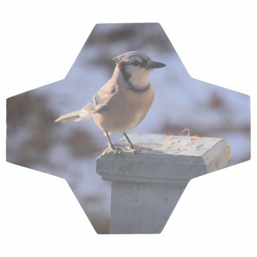 Blue Jay Fußball (Flach)