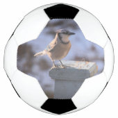 Blue Jay Fußball (Vorderseite)
