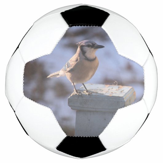 Blue Jay Fußball (Vorderseite)