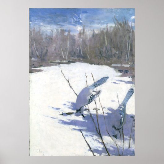 Blue Jay im Winter von Abbott Handerson Thayer Poster (Vorne)
