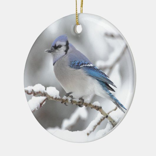 Blue Jay in Algonquin Park Keramikornament (Links)