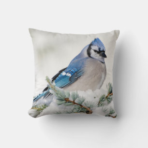 Blue Jay in Blue Atlas Cedar Kissen