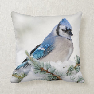 Blue Jay in Blue Atlas Cedar Kissen