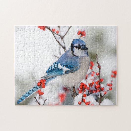Blue Jay in Common Winterberry Puzzle (Horizontal)