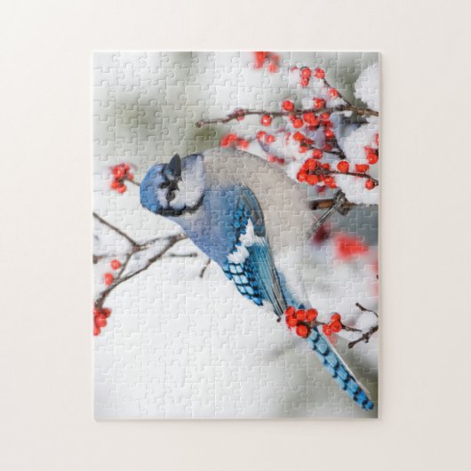 Blue Jay in Common Winterberry Puzzle (Vertikal)