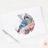 Blue Jay in Common Winterberry Runder Aufkleber (Umschlag)