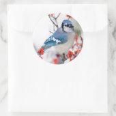 Blue Jay in Common Winterberry Runder Aufkleber (Tasche)