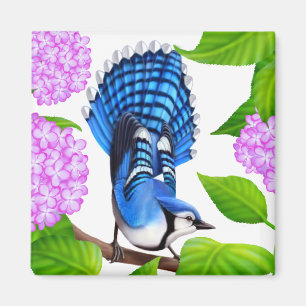 Blue Jay in Hydrangeas Bird Magnet