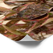 Blue Jay in Nandina Himmlisch Bamboo Poster (Ecke)