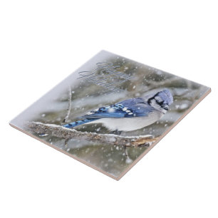 Blue Jay in Snow Christmas Holiday Fliese
