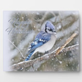 Blue Jay in Snow Christmas Holiday Fotoplatte (Vorderseite)