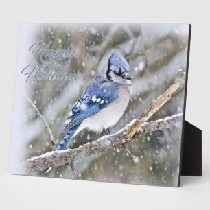 Blue Jay in Snow Christmas Holiday Fotoplatte
