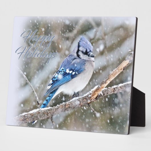 Blue Jay in Snow Christmas Holiday Fotoplatte (Seite)