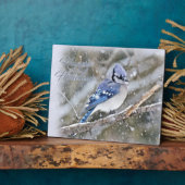 Blue Jay in Snow Christmas Holiday Fotoplatte (Seite)